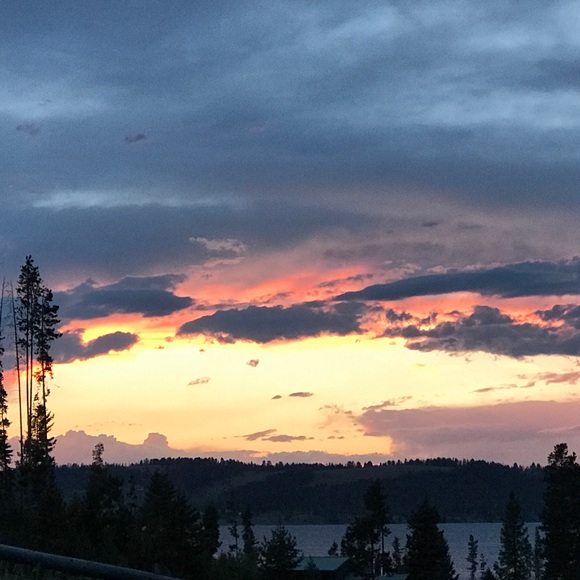 Meet your Posher, Liz - Picture 2 of 2